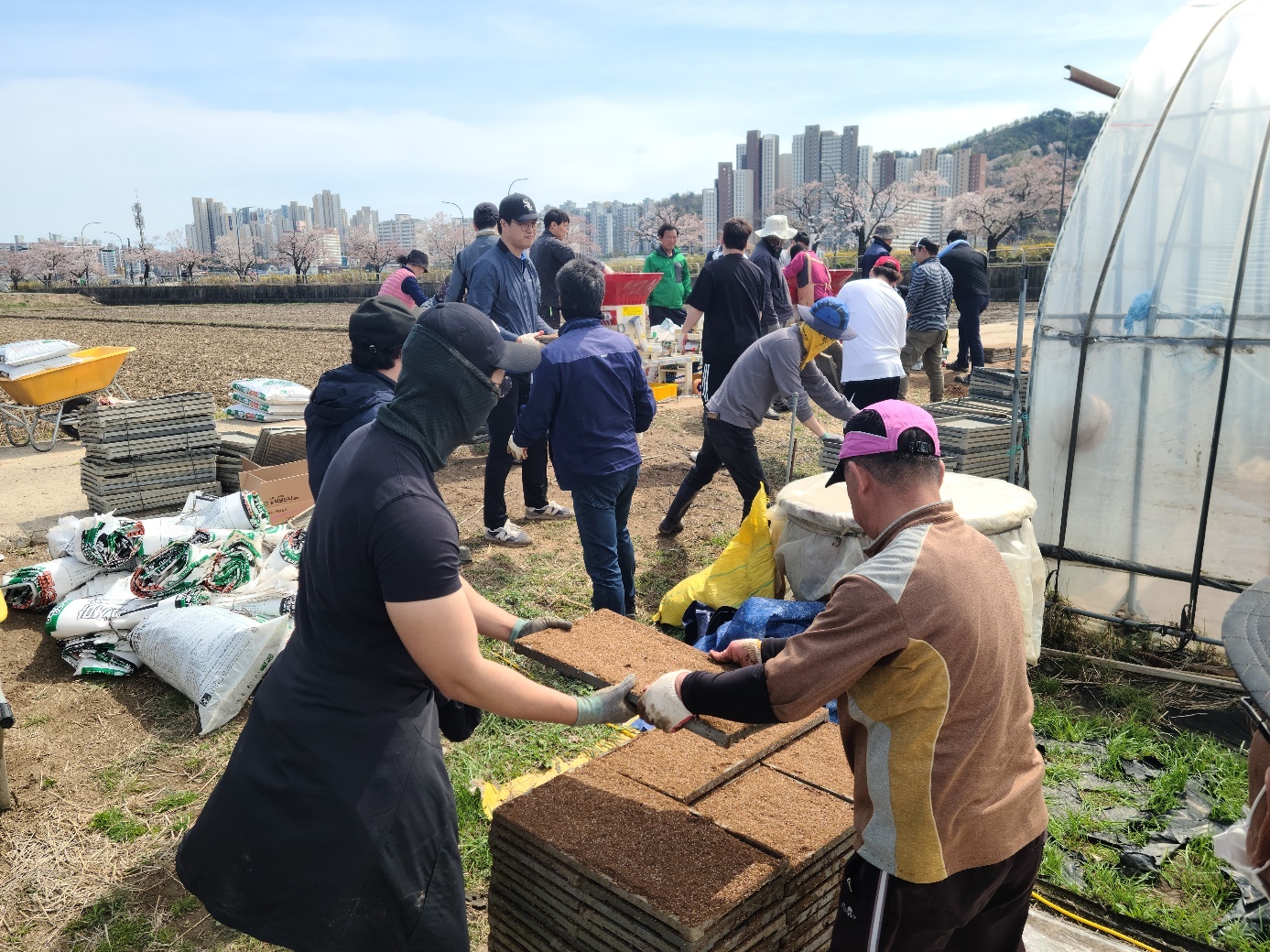 속초시시설관리공단, 봄철 '농촌일손돕기 행사' 실시